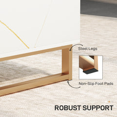 Elegant Marble Effect Storage Coffee Table - White