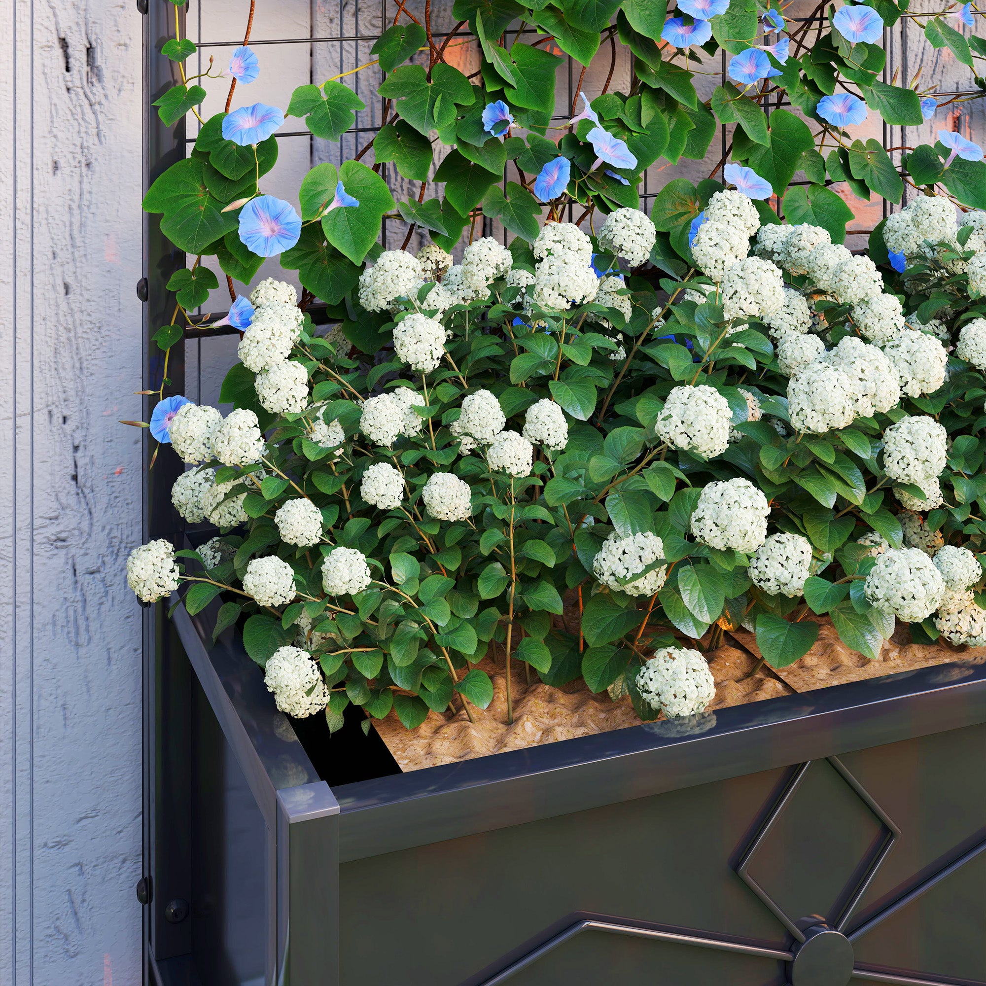 Fynco - Raised Bed for Garden with Trellis, Galvanised Planter Box with Diamond Pattern, Drainage Holes for Vegetables, Herbs and Flowers, 90 x 40 x 120 cm, Black