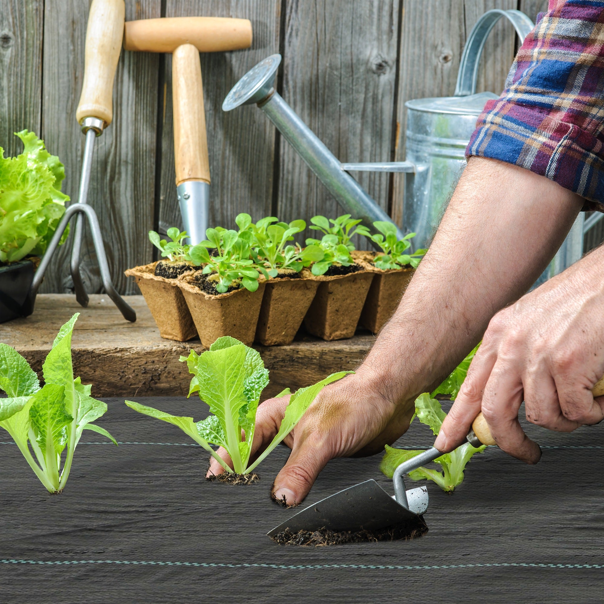 2m x 90m Weed Control Membrane, Heavy Duty Weed Control Barrier Fabric, 90gsm Ground Cover for Patios, Garden, Flower beds, Landscaping