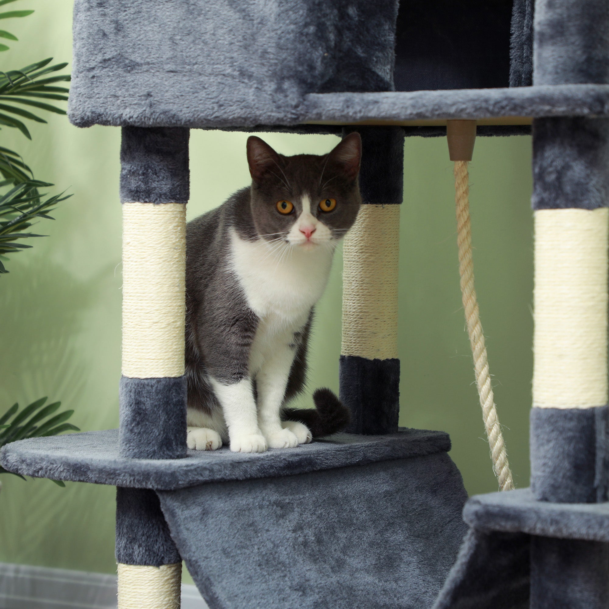 206cm Cat Tree, Multi-Level Cat Tower with Scratching Posts and Board, Beds, Condos, Platforms, Toy Balls, Dark Grey