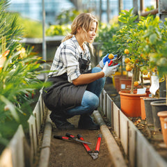 3 Pcs Garden Shears Set with Hedge Shears, Lopper, Garden Secateurs, Lightweight and Compact, Tree Shrub Care Kit for Pruning with Soft Grip Handle