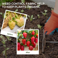 Fynco - 2m x 100m Heavy Duty Weed Control Membrane, Weed Membrane for Landscaping Driveway Gravel Artificial Grass Lawn Underlay, Black