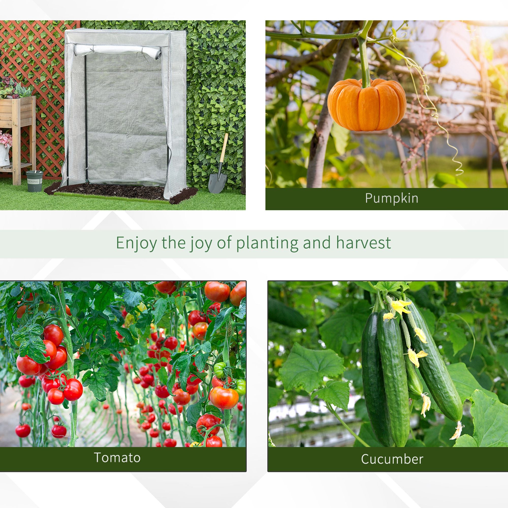 100 x 50 x 150cm Tomato Greenhouse with Roll-up Door, Mini Greenhouse with PE Cover, Outdoor Grow House Small Green House for Yard, Balcony, Garden, White