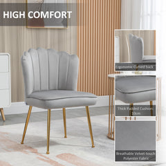 Shell Dining Chairs Set of 2, Upholstered Kitchen Chairs with Gold Metal Legs and Backrest, Velvet Fabric Lounge Leisure Chairs for Living Room, Reception Room, Grey