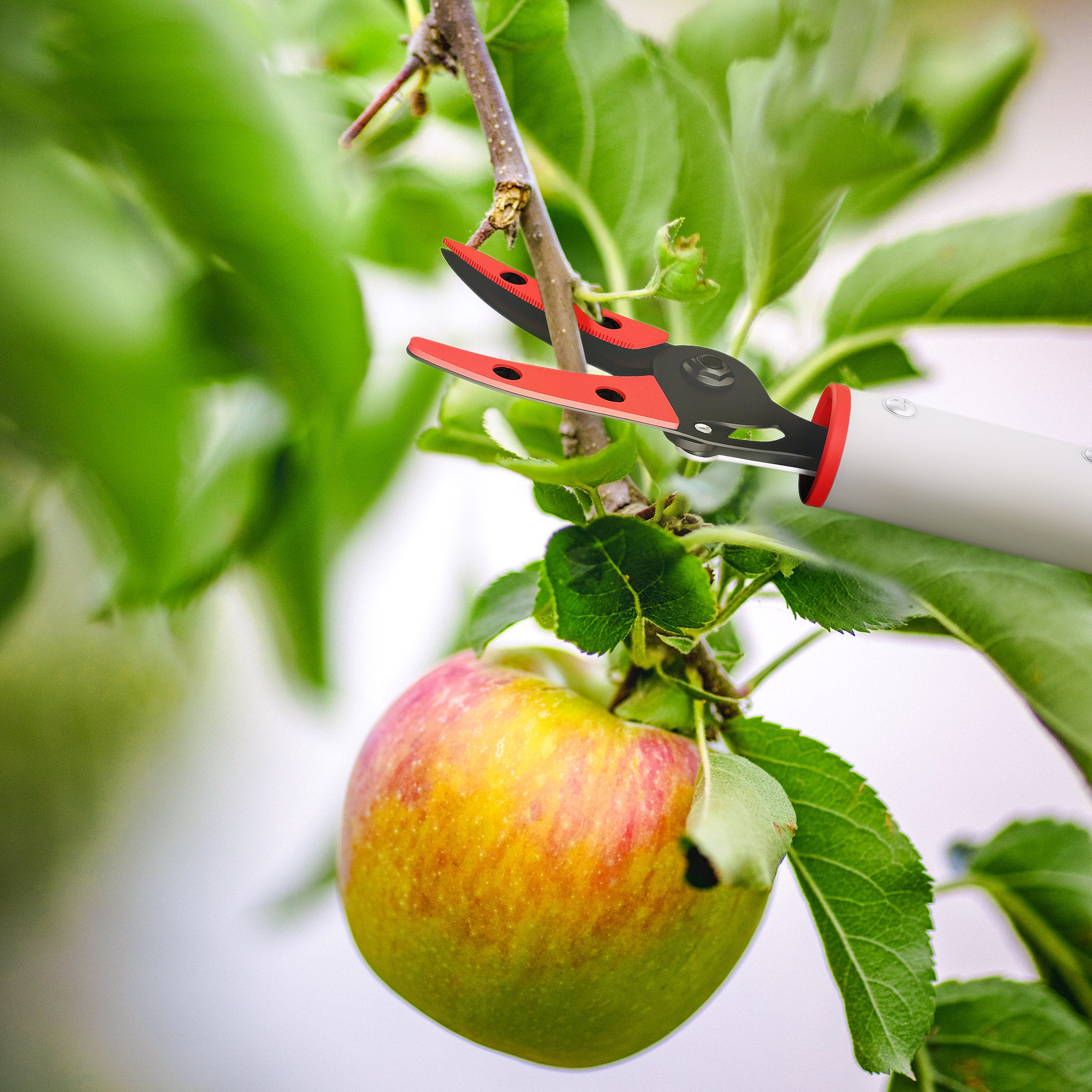 120 cm Tree Pruner, Tree Lopper Long Reach, Lightweight & Strong, Long Reach Tree Trimmer with Aluminium Pole for Fruit Picking and Pruning