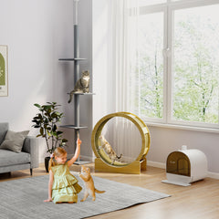 Hooded Cat Litter Box, Kitten Litter Tray, with Lid, Scoop, Filter, Flap Door