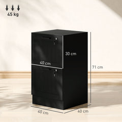 Fynco - 2 Drawer Filing Cabinet with Lock, Office Storage Cabinet with Adjustable Hanging Bars for A4 Letter Size Files, Black