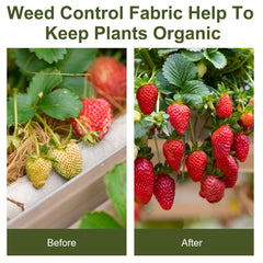 2m x 50m Weed Control Membrane, Heavy Duty Weed Control Barrier Fabric, 90gsm Ground Cover for Patios, Garden, Flower beds, Landscaping