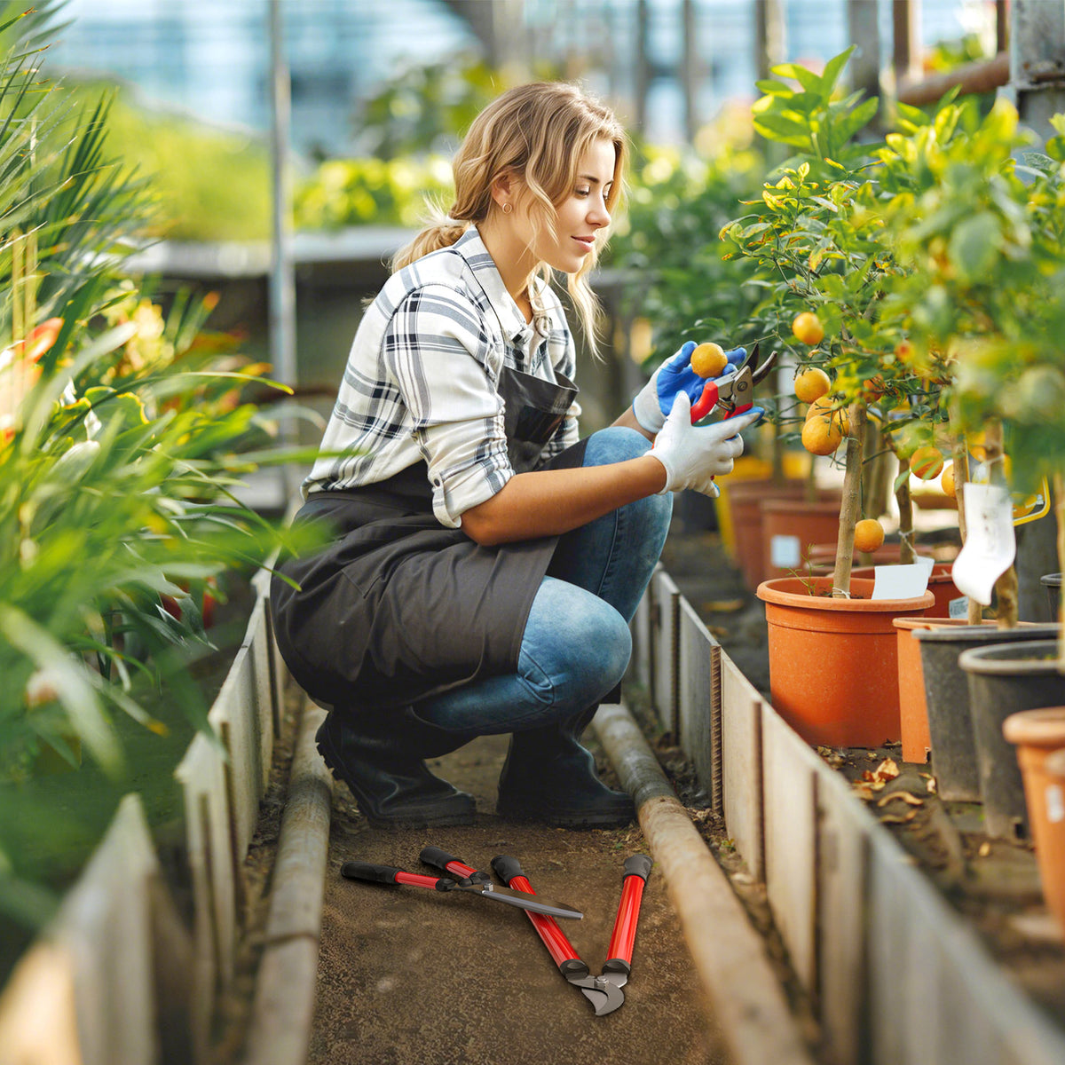 3 Pcs Garden Shears Set with Hedge Shears, Lopper, Garden Secateurs, Lightweight and Compact, Tree Shrub Care Kit for Pruning with Soft Grip Handle